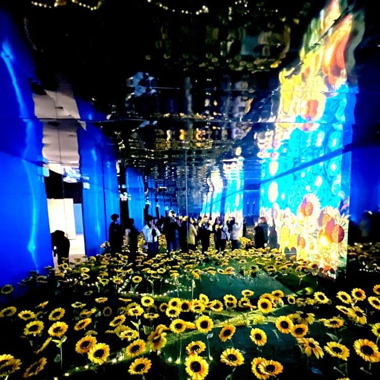 El “sueño inmersivo” de Van Gogh llega por primera vez a La Serena