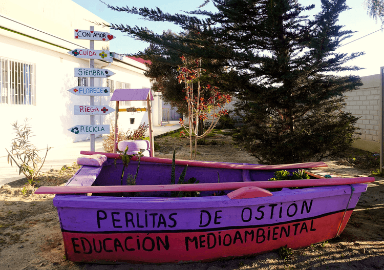 El aprendizaje motivado por la naturaleza