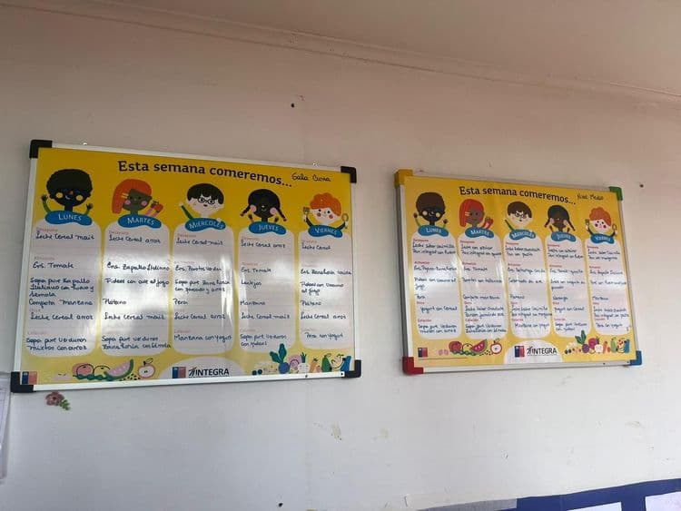 Alimentación saludable es establecida como pilar en el desarrollo infantil