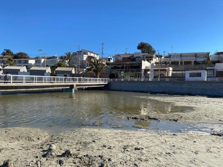 Se descarta presencia de mosquitos con dengue en Tongoy