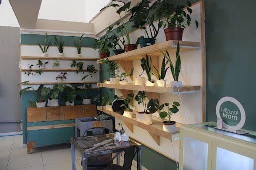 Corleone cafetería: Innovación y avance en espacios pet friendly en La Serena